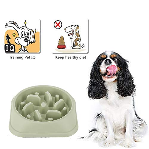 Slow Feeder Bowl, Dotpet Fun Interactive Feeder Bloat Stop Dog Bowl Preventing Feeder Anti Gulping Drink Water Bowl Fan Shape Healthy Eating Diet For Puppy Dog Pet (Green) #TOP2