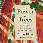 Cover of The Power of Trees