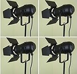 Für Leuchtmittel bis 75 Watt (Leuchtmittel nicht im Lieferumfang enthalten)