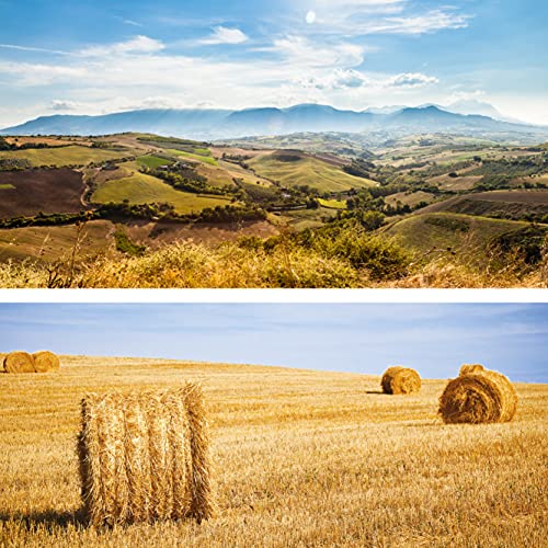 Pappardelle rigate, breite Bandnudeln