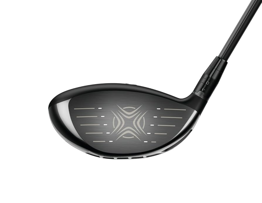 □Callaway GREAT BIG BERTHA 3～9.P.A.S 10本□キャロウェイ