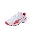 PUMA | Spike 24.2 Ultralight Cricket Shoes White-Red gallery image