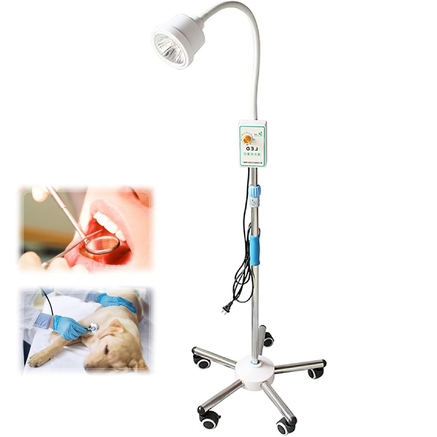 Lampada per visita ginecologica, lampada medica chirurgica tipo supporto da pavimento mobile, ruota universale regolabile in altezza con rotazione a 360°, per pazienti ambulatoriali, stomatologia