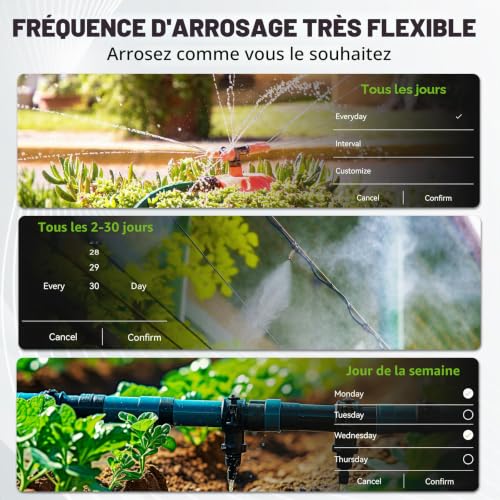 RAINPOINT Programmateur Arrosage WiFi 2 Sorties, entrée et Sortie en Laiton, minuterie d'arrosage Automatique de Jardin avec Application/Commande vocale, Programmateur d'arrosage pour Serre de Jardin – vue 4