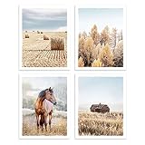 Color Play Rural Field Landscape Wall Art - Set of 4 Farm Barn Pictures Horse Prints Straw Bales Photograph UNFRAMED for Home Wall Decor 8x10 Inches