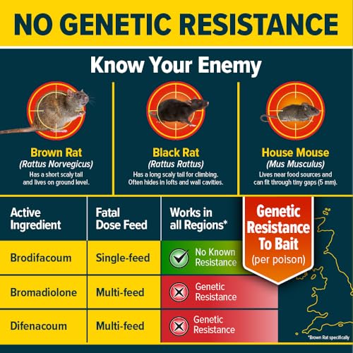 NOPE! Rat Killer Grain Bait 6 x 25g & Bait Box With Key | Super Strength Rodent Poisoning Sachets & Lockable Tamper-Resistant Bait Box | Works Indoors & Outdoors In All Weather - Image 3