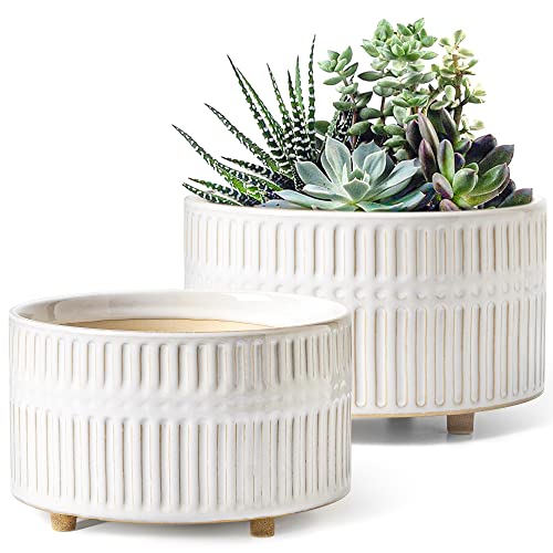 Comparison: Best Pot For Aloe Vera 5 LE TAUCI Succulent Planters, 6.5+8 Inch Ceramic Indoor Plant Pot with Drainage Hole, Shallow Round Succulent Pots, Set of 2, Reactive Glaze White