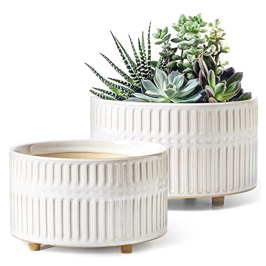 LE TAUCI Succulent Planters, 6.5+8 Inch Ceramic Indoor Plant Pot with Drainage Hole, Shallow Round Succulent Pots, Set of 2, Reactive Glaze White