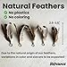 Cat Feather Toy Refill 9-Pack - Natural Feather Cat Toy - Small Size Cat Wand Attachments - Official Cat Toy Feather Replacement for Forever Stick Cat Wand Toy - Cat Wand Refill - Cat Lure and Teaser