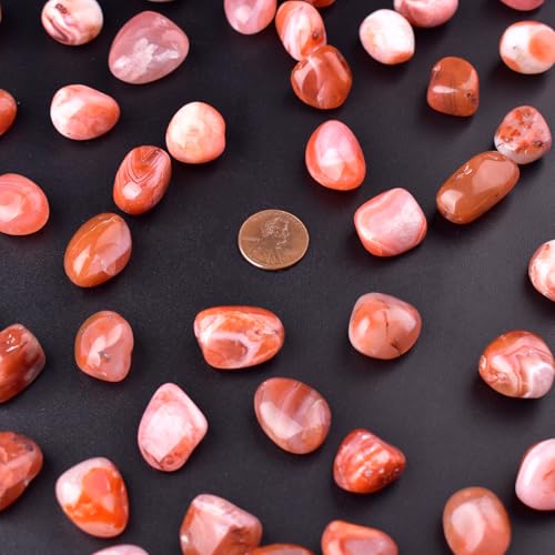 Image of Carnelian Healing Crystal Stone Set - 24 Pieces, 0.6 inch Natural & Polished Stones for Healing, Meditation, Reiki, Chakra, Crafting & Decoration