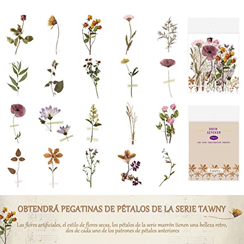 Catálogo de Calcomanias los más solicitados. 12
