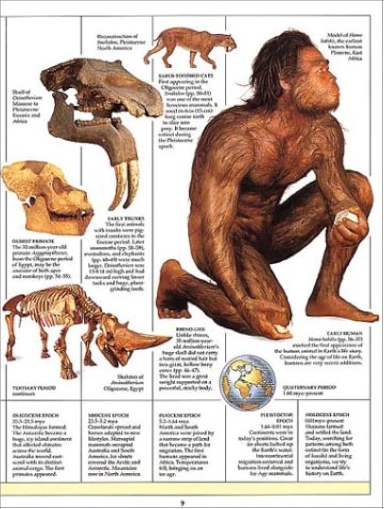 【DK洋書ハードカバー】PREHISTORIC Hardcover DK洋書ハードカバー】PREHISTORIC Hardcover Knowledge