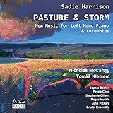Pasture and Storm
