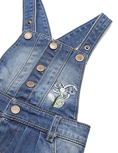 Image of KIDSCOOL SPACE Baby Little Girls Fox Flowers Embroidered Lace Denim Overall Dress
