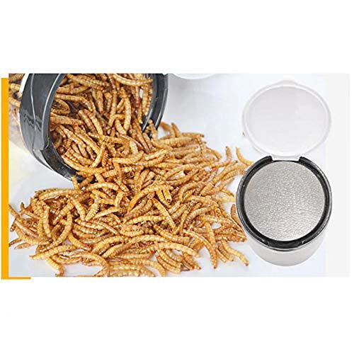 Western Era Healthy Dried Mealworm Treat for Birds, Reptiles, Gecko