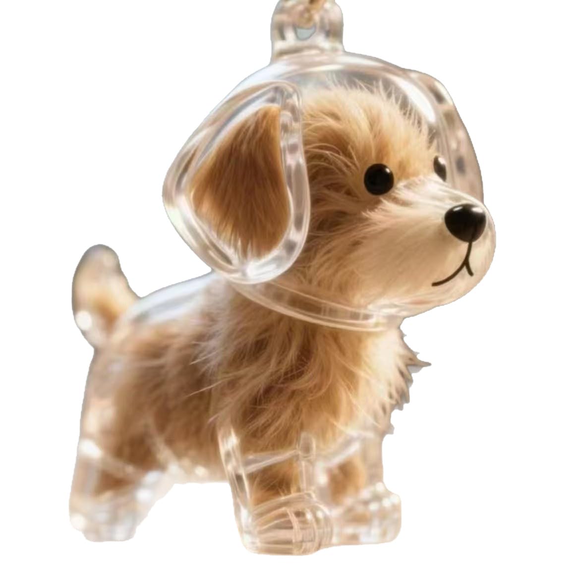 Charm Conservare Capelli Animali Capsula Memoriale 1 Pezzo Cane Maltese Portachiavi