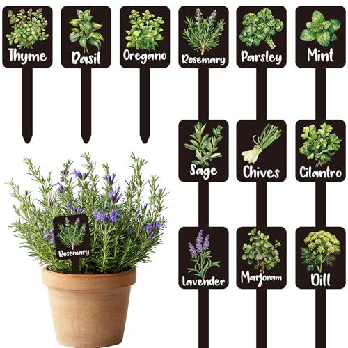 Whaline 12Pcs Herb Plant Label Signs 12 Styles Garden Herb Markers Thickened Waterproof Acrylic Plant Stake Tags with Names for Nursery Indoor Outdoor Garden Decor