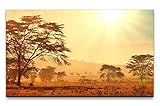 leinwandbild afrikanerin BESONDERHEITEN: Unsere Leinwandbilder kommen komplett montiert zu Ihnen. Der Druck auf Leinwand ist bereits auf einen stabilen Holzrahmen gespannt und lässt sich ohne Bohren sofort aufhängen. Der Holzrahmen weist eine Stärke von 2 cm auf.