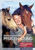 Sachkundenachweis Pferdehaltung: Prüfungswissen kompakt (Ausbildung von Pferd und Reiter)