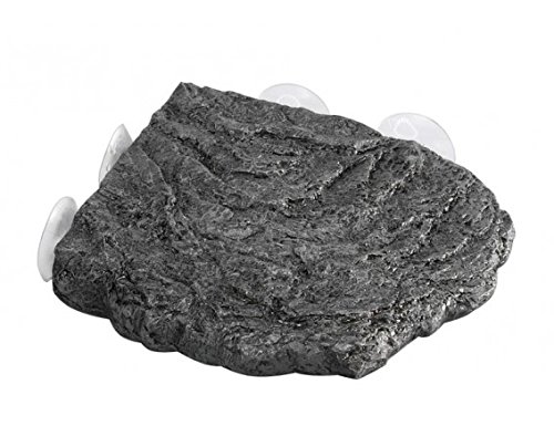 Isola galleggiante - Completa di ventose, in varie...