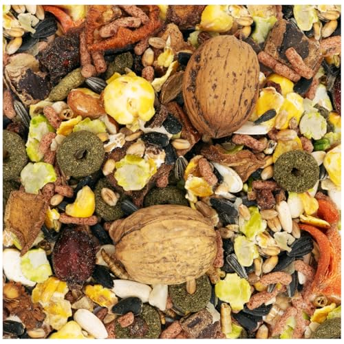 JR Farm Garden Eichhörnchen-Schmaus 600g Größe 3 x 600g