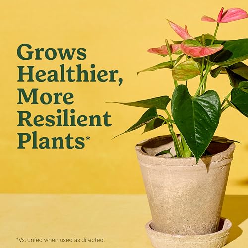Miracle-Gro Indoor Plant Grow, Feed & Protect Houseplant Care Bundle - image 4