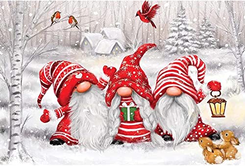Christmas Gnomes Winter Snow DIY Cross Stitch Art Craft 16x20 inch Fabric with Accessories 11ct Pre Printed Stamped Embroidery Kits for Adults Beginners (Red)