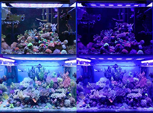 JOYHILL LED Aquarium Lights with Timer, Dimmable,Super Bright LEDs Fish Tank Light for Aquatic Reef Coral Plants,Full Spectrum for 36"-48" Tank