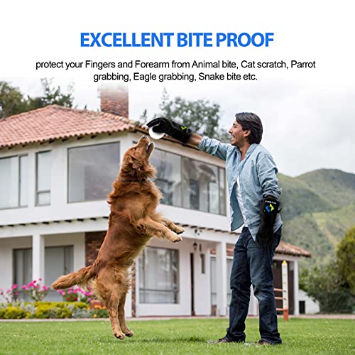 HITBOX Guanti da barbecue 14'' 932 ° F in pelle