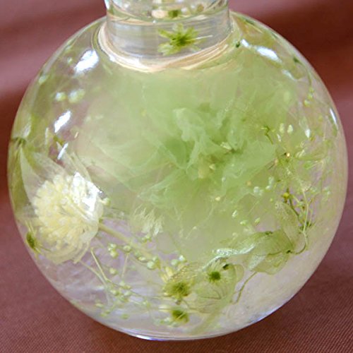 un[oEE~eBouvO[̃J[l[VCɂvU[uht[̃Xm[h[AWg ̓