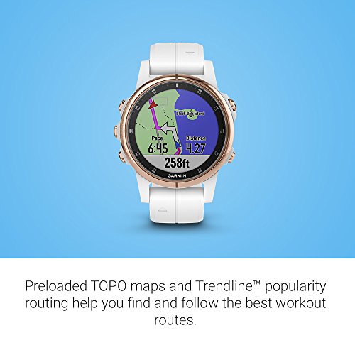 Garmin fenix 5 Plus, Premium Multisport GPS Smartwatch, Features Color Topo Maps, Heart Rate Monitoring, Music and… - Image 5