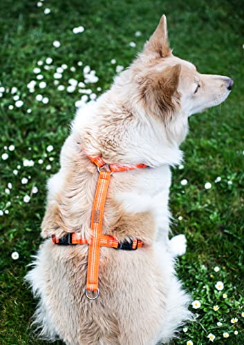 Feltmann Hundegeschirr Mantrailing/Suchgeschirr Basic - Laufgeschirr, Joggergeschirr - Super Soft, Neonorange, reflektierend, Bauchumfang 40-60 cm, 15 mm Bandbreite