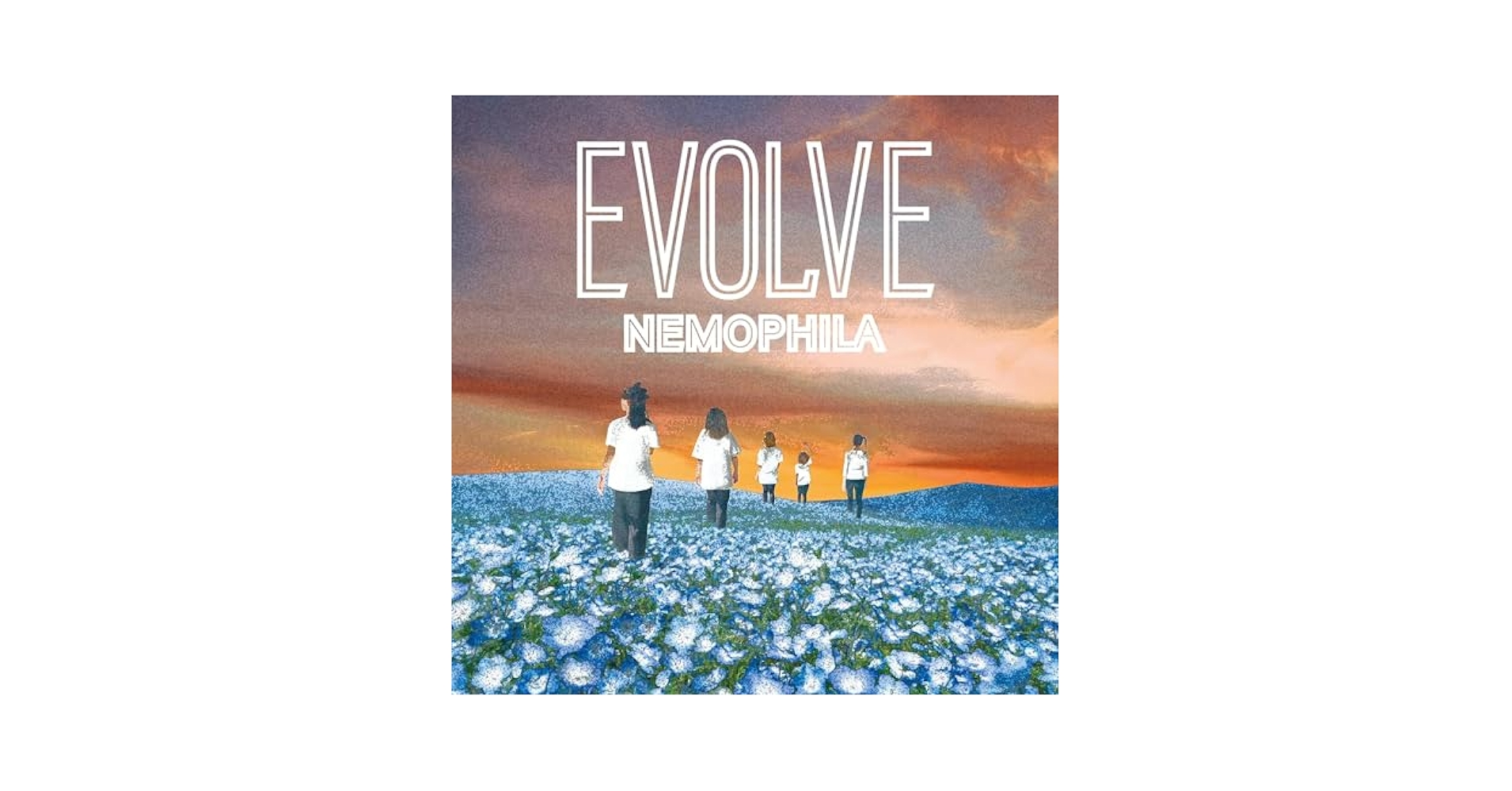 ま*う様 美品 NEMOPHILA 『EVOLVE』限定盤 直筆サイン入りCD NEMOPHILA EVOLVE CD Blu-ray 直筆サイン入り、特典付き