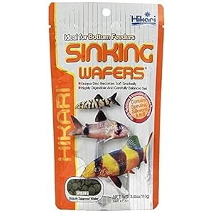 Hikari Tropical Sinking Wafers for Catfish, Loaches and Bottom Feeders 3.88 Ounces [2-Pack]