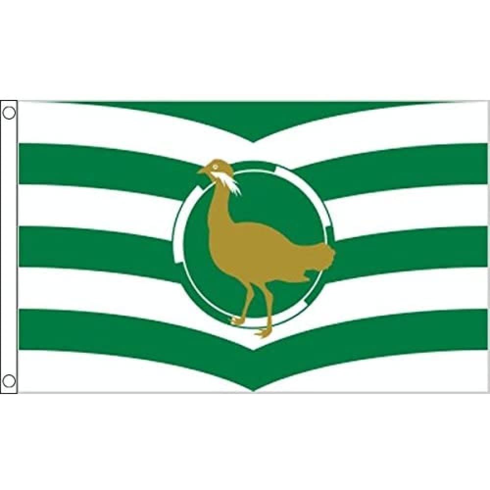 AZ FLAG Wiltshire New county Flag 90x60 cm 100D Polyester 2 Grommets