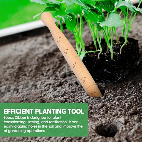 Herramienta de jardinería Wooden Seed Dibber 20 cm miniatura 2