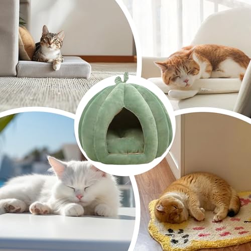 Maison de lit de chat Premium avec dôme protecteur et coussin doux - 5
