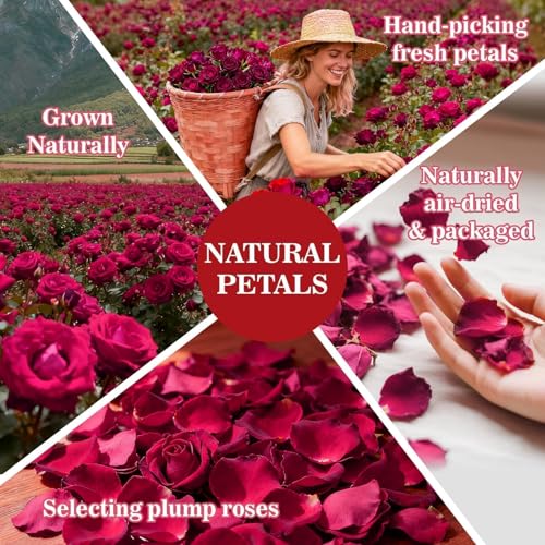 Image of Sukh 5oz Dried Rose Petals - Real Flower Petals for Bath Spa, Soap & Candle Making, Wedding Flower Confetti, Resin Crafts & DIY Decorations, Romantic Valentine's Day & Event Decor