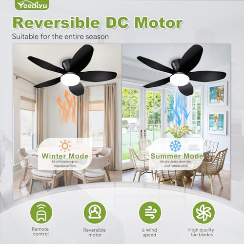 Image of Ceiling Fans with Lights - 35 Inch Small Low Profile Ceiling Fan and Remote,Flush Mount Ceiling Fan with 5 Reversible Blades 6 Wind Speeds, Black Modern Ceiling Fans for Bedroom Kitchen