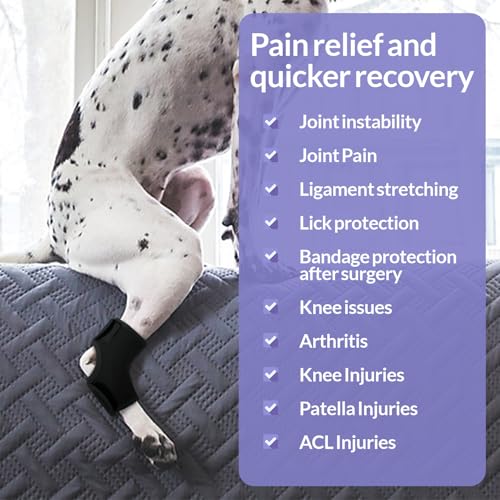 PUMYPOREITY 1 Stück Kniebandage für Hunde, Vorderbein Gelenkstütze Hinterbein Sprunggelenk Schutz Bandage Hunde Vorderbeinstütze Knieschutz Verband für Chirurgische Verletzungen(Schwarz, S)