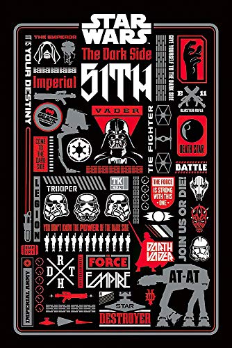 POSTER STOP ONLINE Star Wars - Movie Poster (Dark Side Iconographic & Pictograms) (Size 24' x 36')