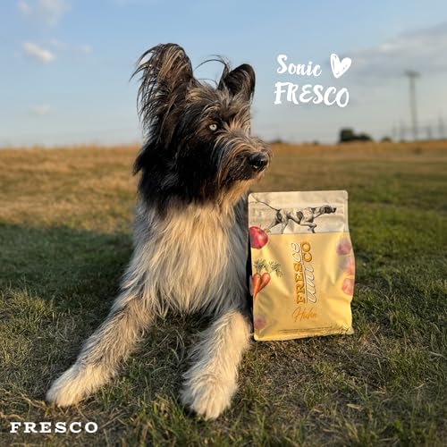 FRESCO Dog Unico Huhn 1kg | Hundefutter trocken ohne Weizen | Extra hoher Frisch-Fleischanteil 66% & Gemüse | Adult Trockenfutter für Hunde sensitiv | Mono-Protein & hohe Verträglichkeit