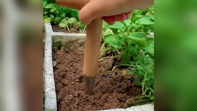 Planta excavadora para jardinería con mango T ergonómico miniatura 7