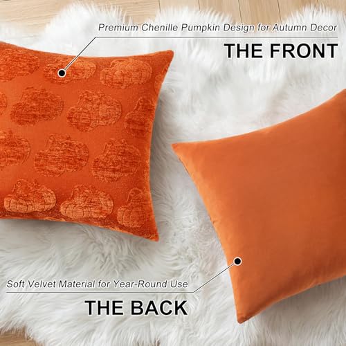 Image of decorUhome Decorative Two Rust Pumpkins Thanksgiving Throw Pillow Covers 18x18 Set of 2, Soft Chenille Jacquard Farmhouse Textured Pillow Covers for Couch Bed Sofa Autumn Harvest Halloween Holiday