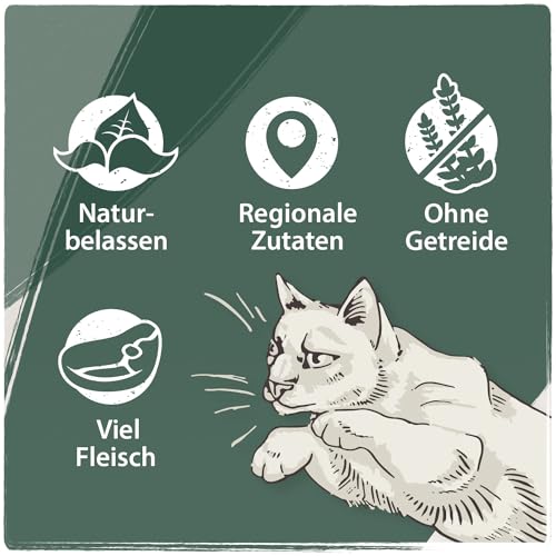 Venandi Animal – Premium Katzenfutter – Lachs, mit viel frischem Fisch, Trockenfutter, getreidefrei 1er Pack (1 x 300g)