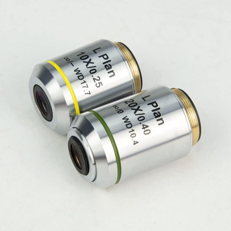 PSA10 しつこい請願者 secret lair 未開封 しつこい請願者/Persistent