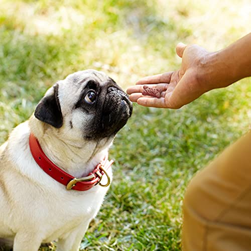 Image of Milk-Bone Flavor Snacks Mini's Peanut Butter Flavor Biscuits, 6 Boxes | 15-oz. boxes, Naturally and artificially flavored, 5 calories per treat, 15% protein