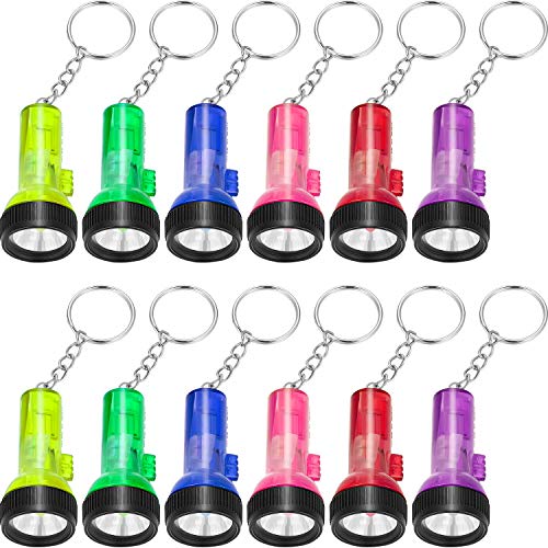 meekoo 24 Stücke Mini Taschenlampen Schlüsselanhänger Bunte Taschenlampen Schlüsselbund für Camping Täglich Kinder Party Gefälligkeiten