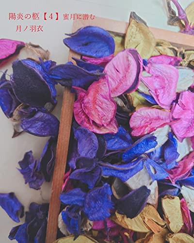 陽炎の柩【4】: 蜜月に潜む