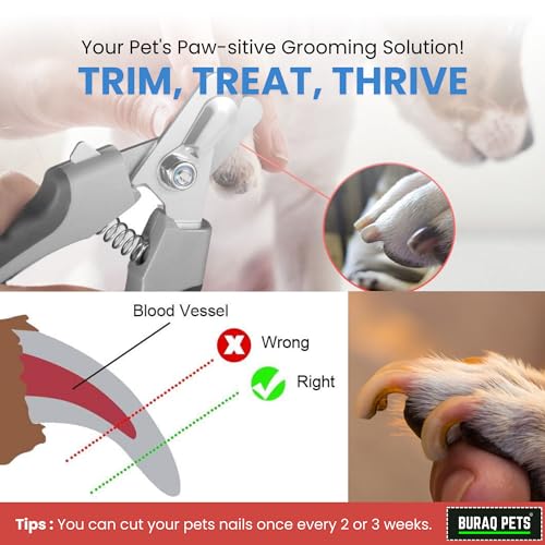 Image of Buraq Pets Dog Nail Cutter with Nail Filer, Professional Pet Nail Clipper for Dogs, Cats, Puppies & Small Animals, Durable, Safe, Ergonomic Grooming Tool for Precise Trimming